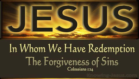 Colossians 1:14 In Whom We Have Redemption (brown)